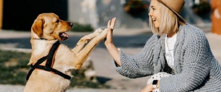  Ogólnopolska inicjatywa charytatywna