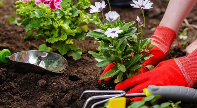 Ziemia do kwiatów i warzyw