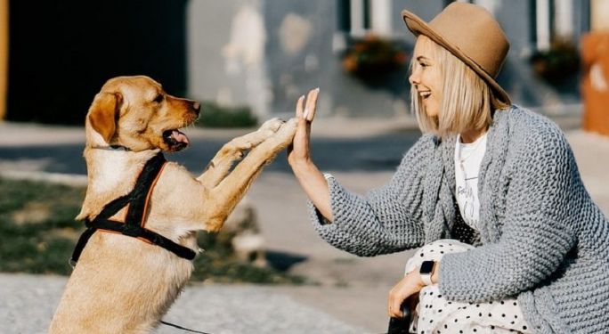  Ogólnopolska inicjatywa charytatywna