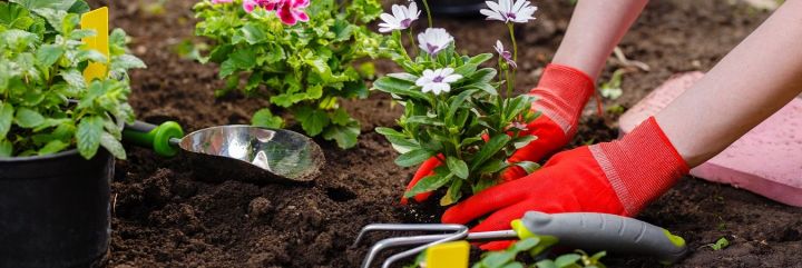 Ziemia do kwiatów i warzyw