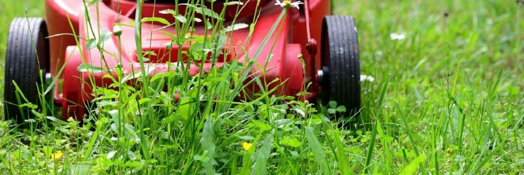 Stihl sklep internetowy – asortyment dla profesjonalistów i amatorów
