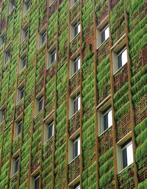 zielone fasady